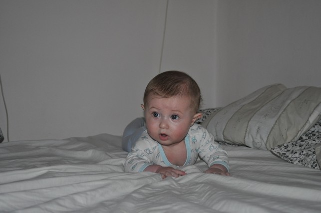 DSC_0044.JPG